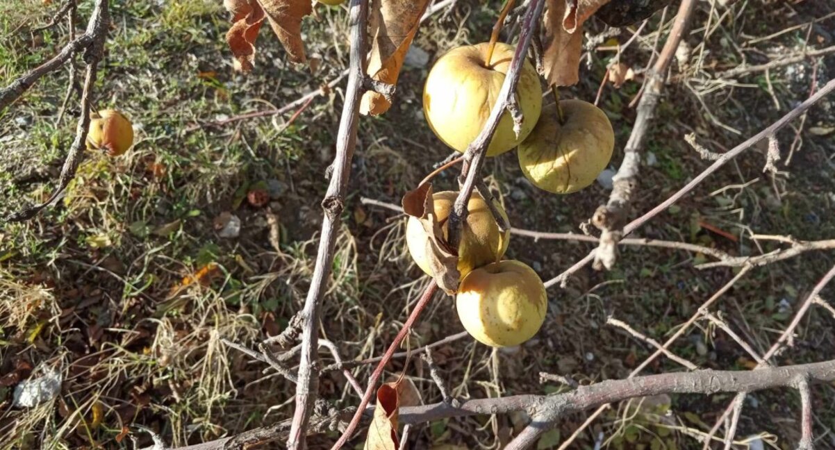 Слънце в понеделник