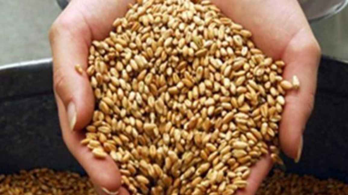 Глобалните стокови пазари остават спокойни