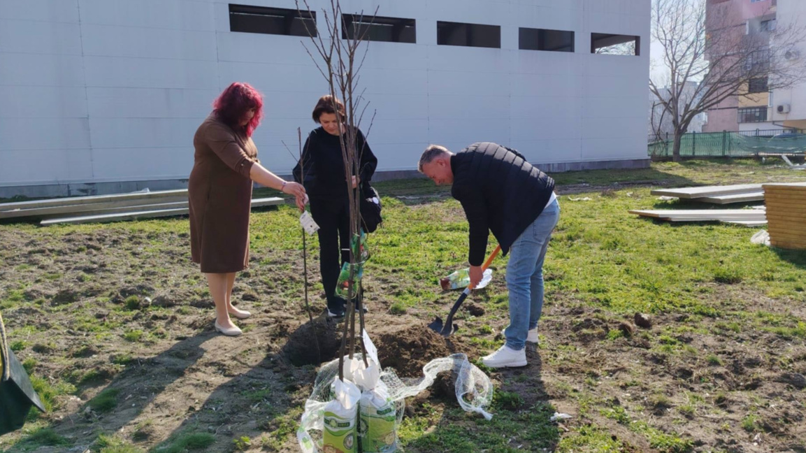 Дърво на приятелството засадиха във видинско училище
