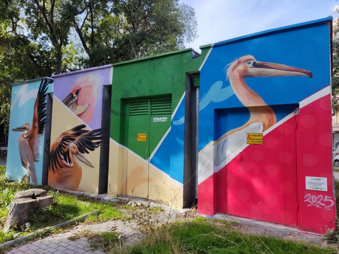 Пеликанът Стойчо оживя върху варненски трафопост