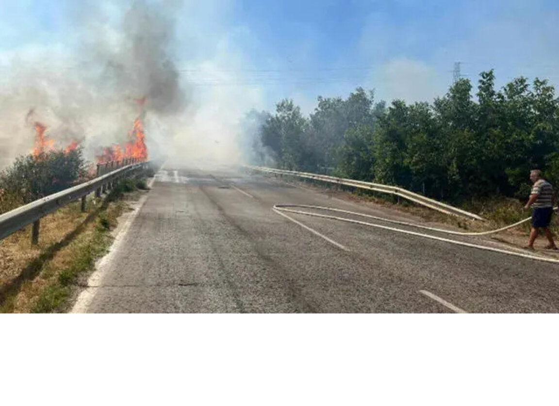 Пожар на сухи треви затвори пътя между селата Звъничево и Лозен