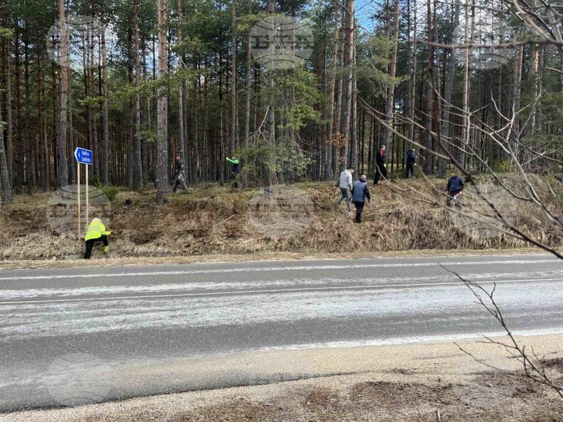 Доброволци работят за по-добра среда в община Доспат