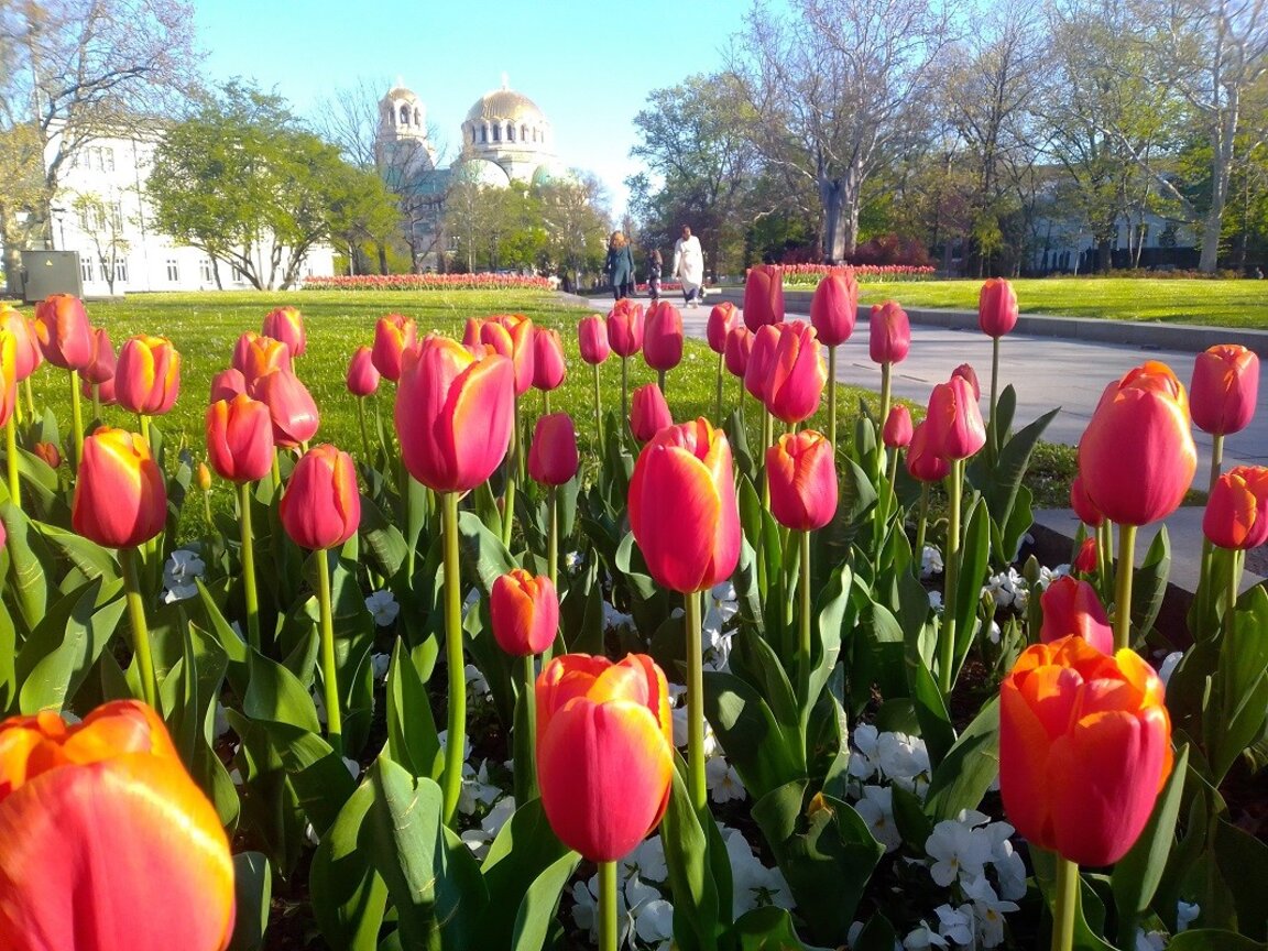 Previsión del tiempo para el martes 22 de abril