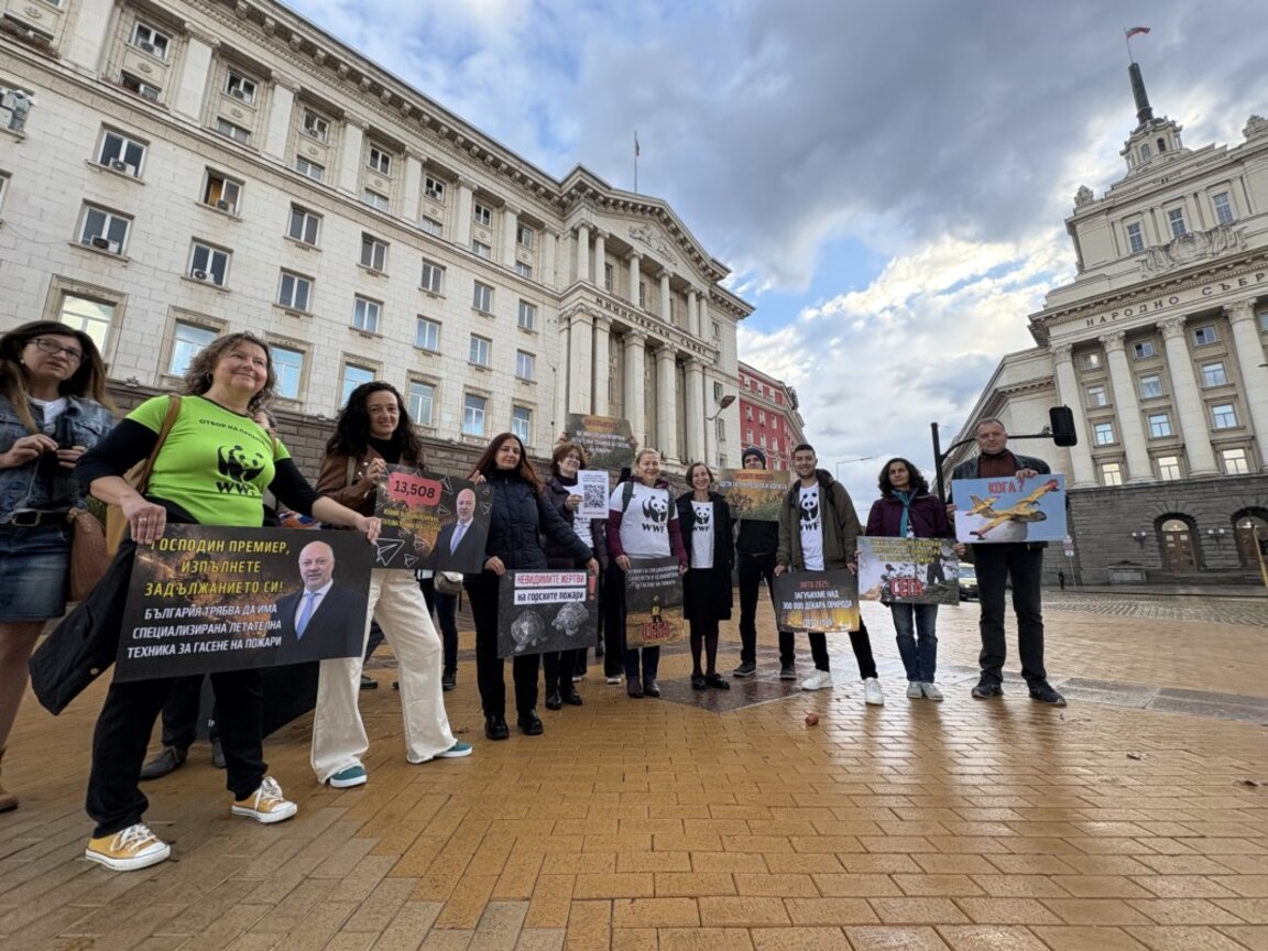 Доклад на WWF България: За 15 години има 7000 горски пожара, обхванали над 1 млн. дка площ