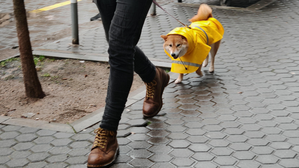 Hafta sonu yağmur, dağlarda kar yağışı etkili olacak
