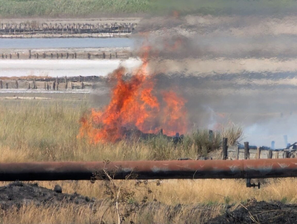 Установяват щетите и засегнатите площи от пожара на Солниците