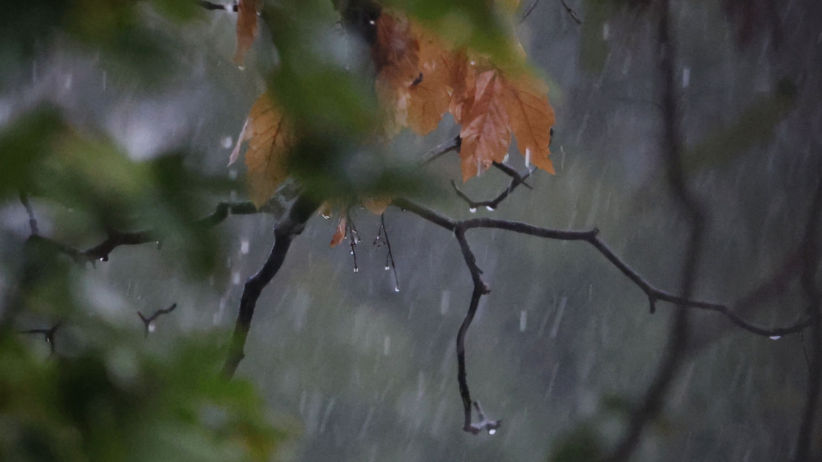 Rainy with yellow code for precipitation in northern regions of Bulgaria