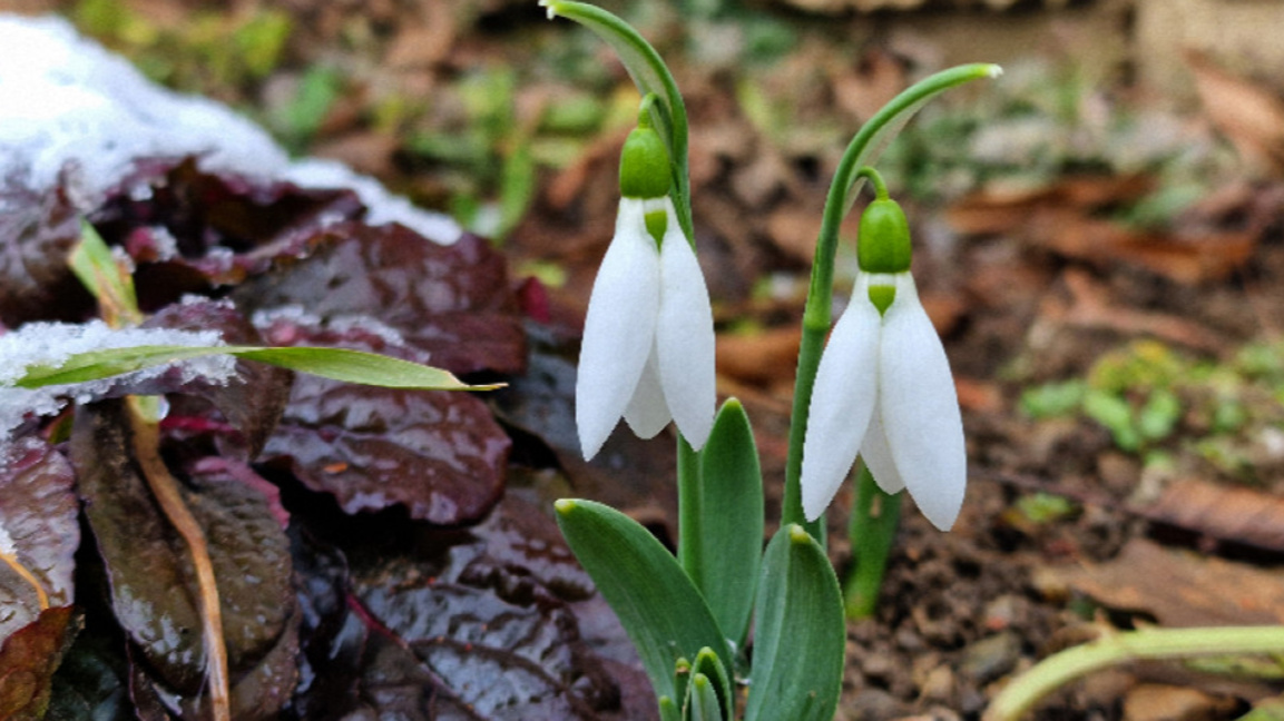 Времето в неделя