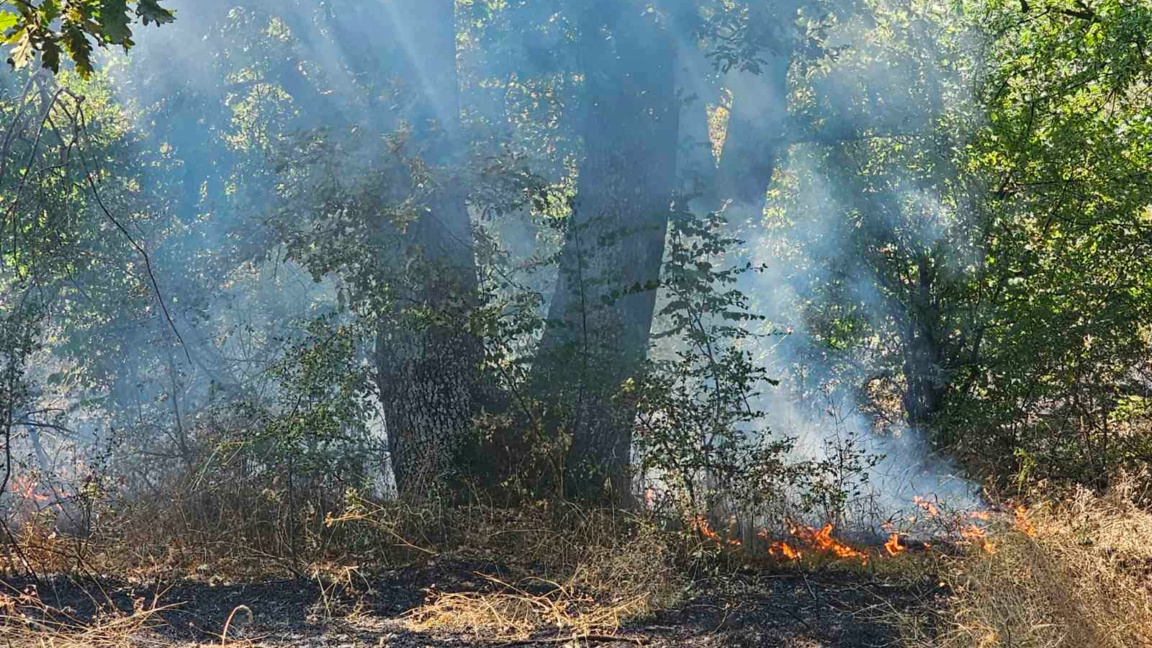 Частично бедствено положение обявиха в Хасково заради големия пожар