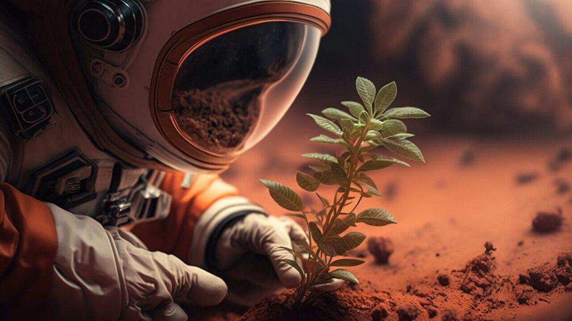 Проектът на 12 ученици е за създаване на селскостопански модул в обрита на планетата Церера.