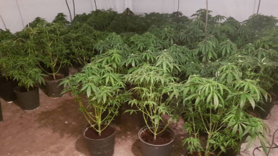 Разкриха нарколаборатория край Димитровград