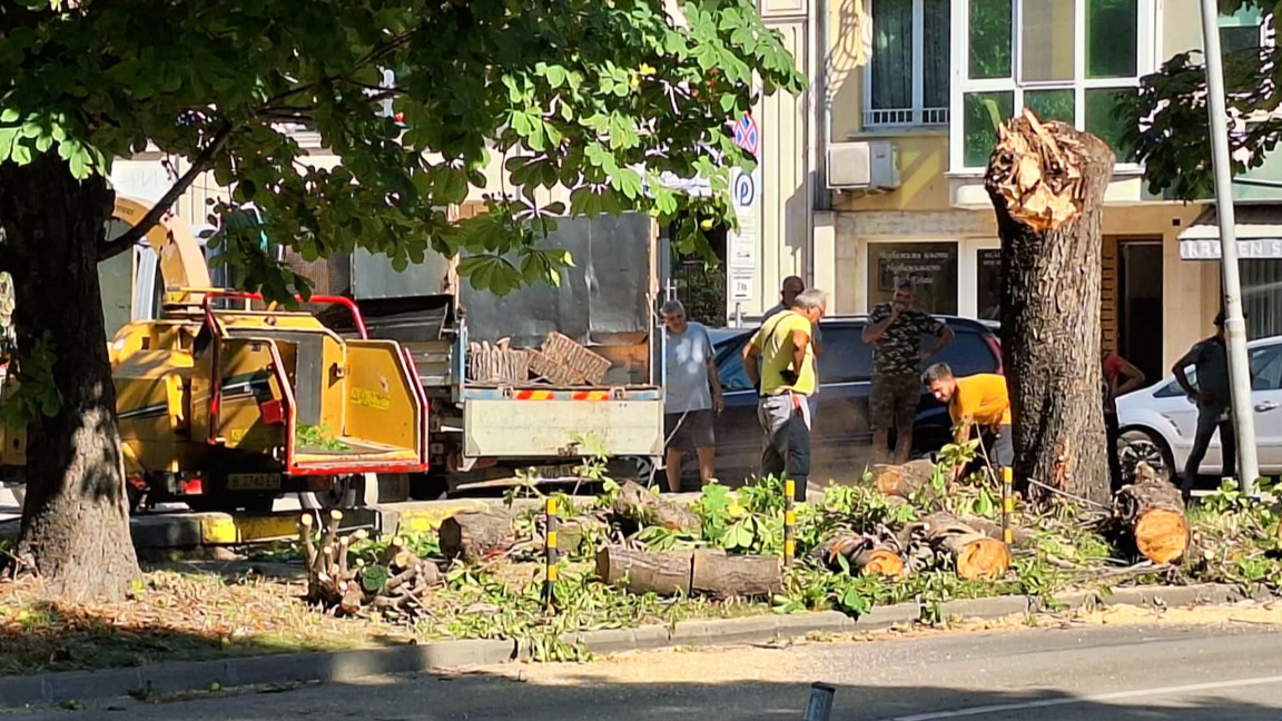 Аварийна сеч по бул. "Приморски" по време на ЕП по водна топка (СНИМКИ)
