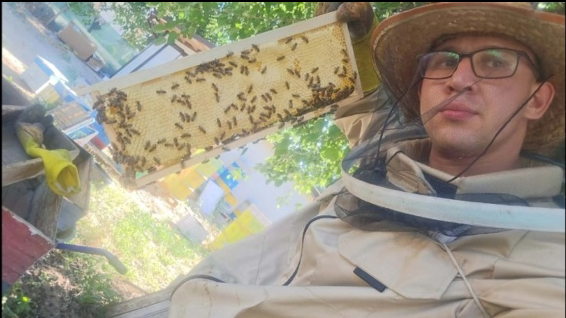 Жан Ивайлов: От пчелите можем да се научим на ред и дисциплина