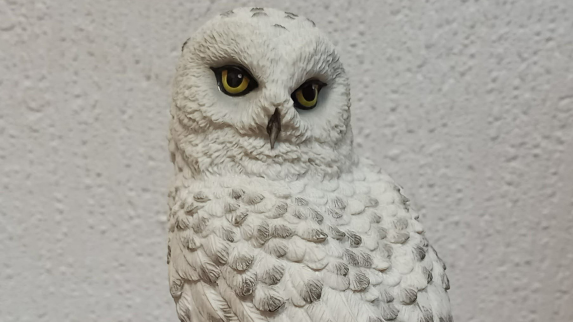 С "Денят на совите" и във вторник