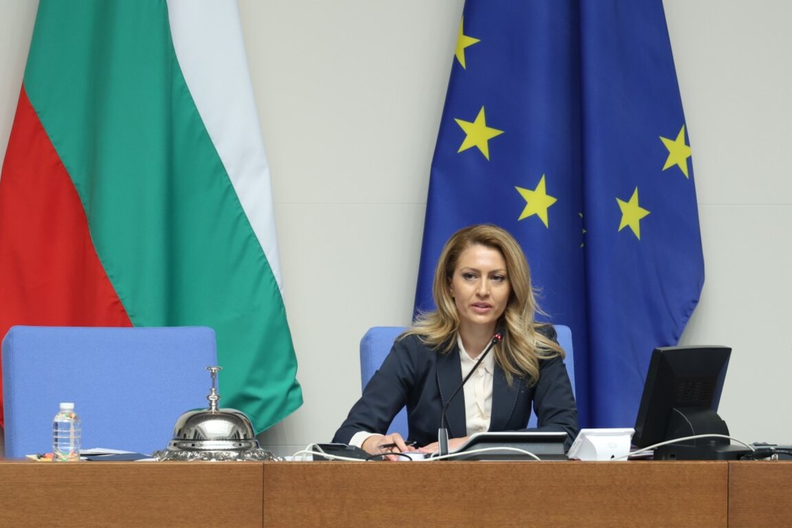 Рая Назарян е председателят на 50-ото Народно събрание