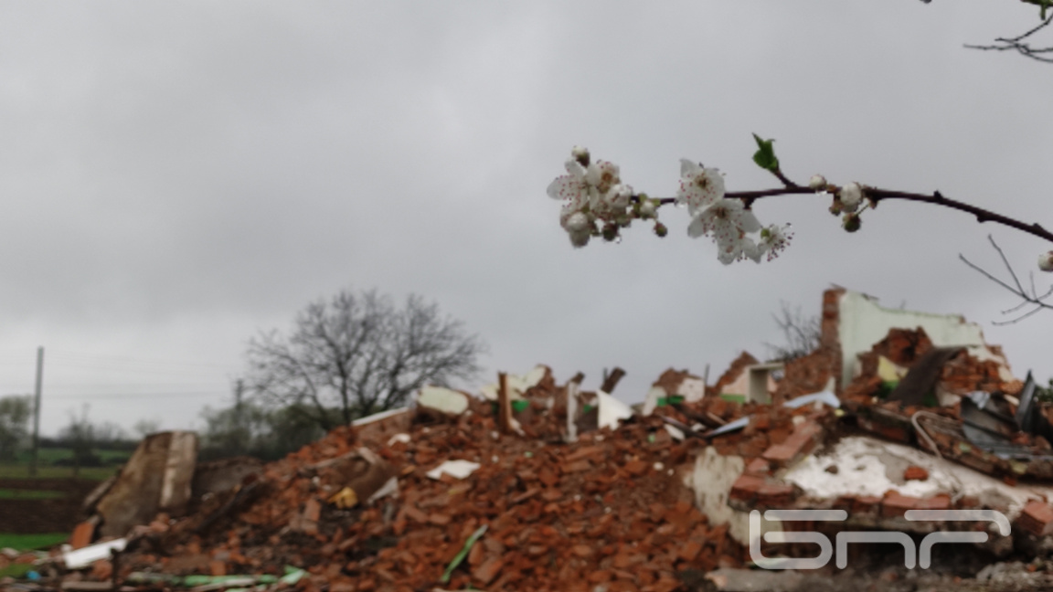 Как едно старо квартално училище възкръсна за нов живот като зеленчукова градина