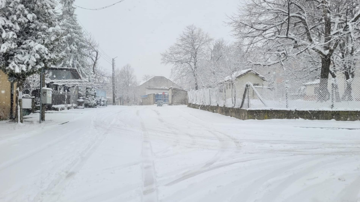 Снимката на 17 февруари 2026 година