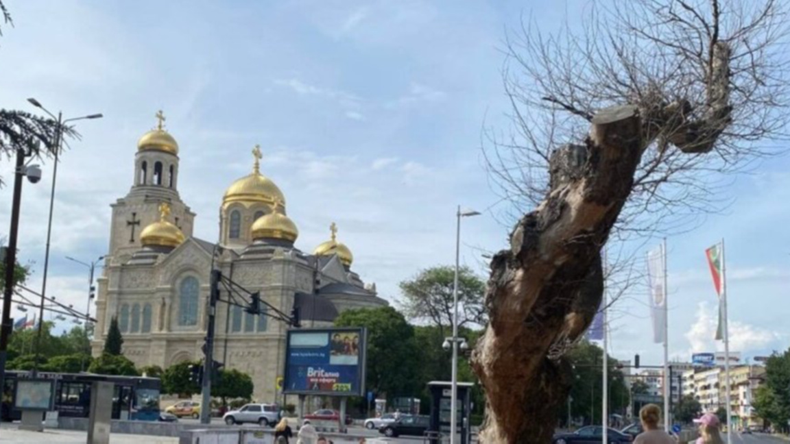 Временна организация на движението във Варна за Йордановден