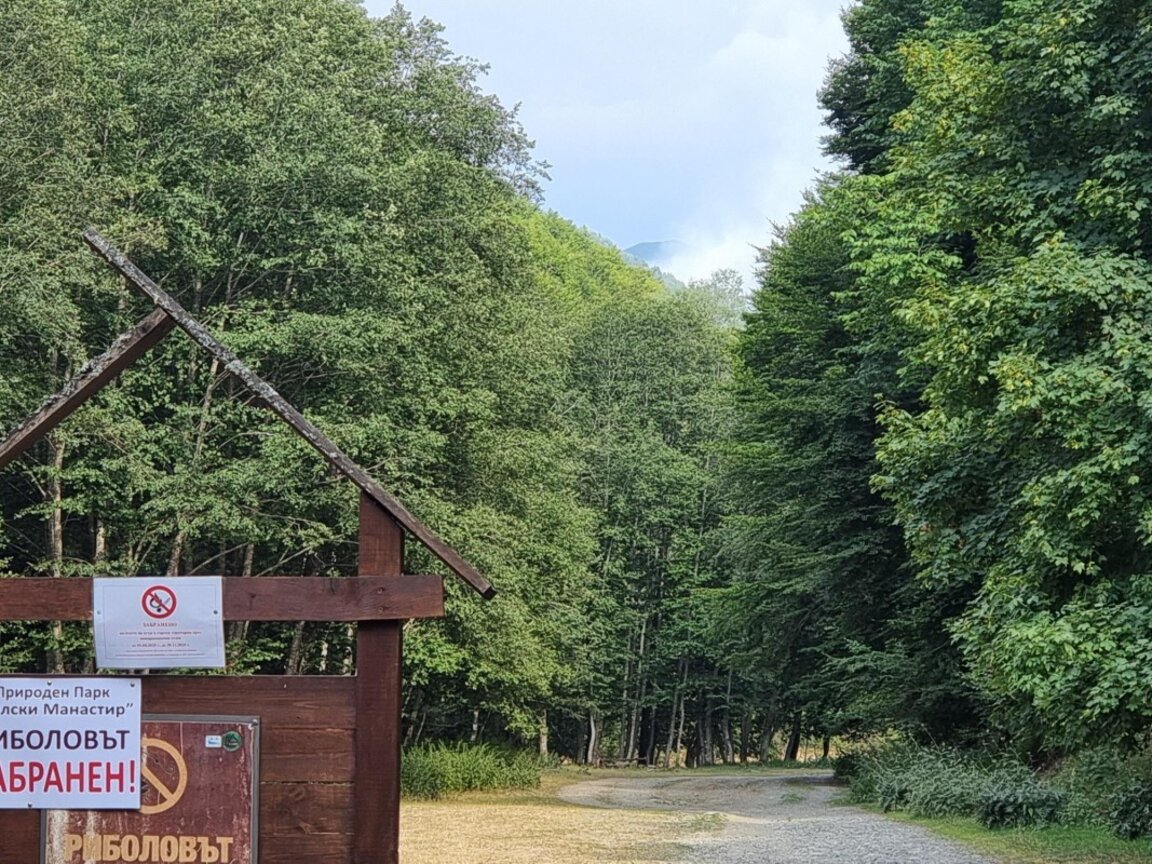 Нов пожар в Рила планина