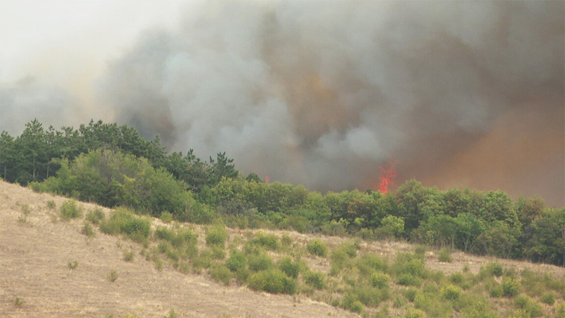 Снимката е илюстративна