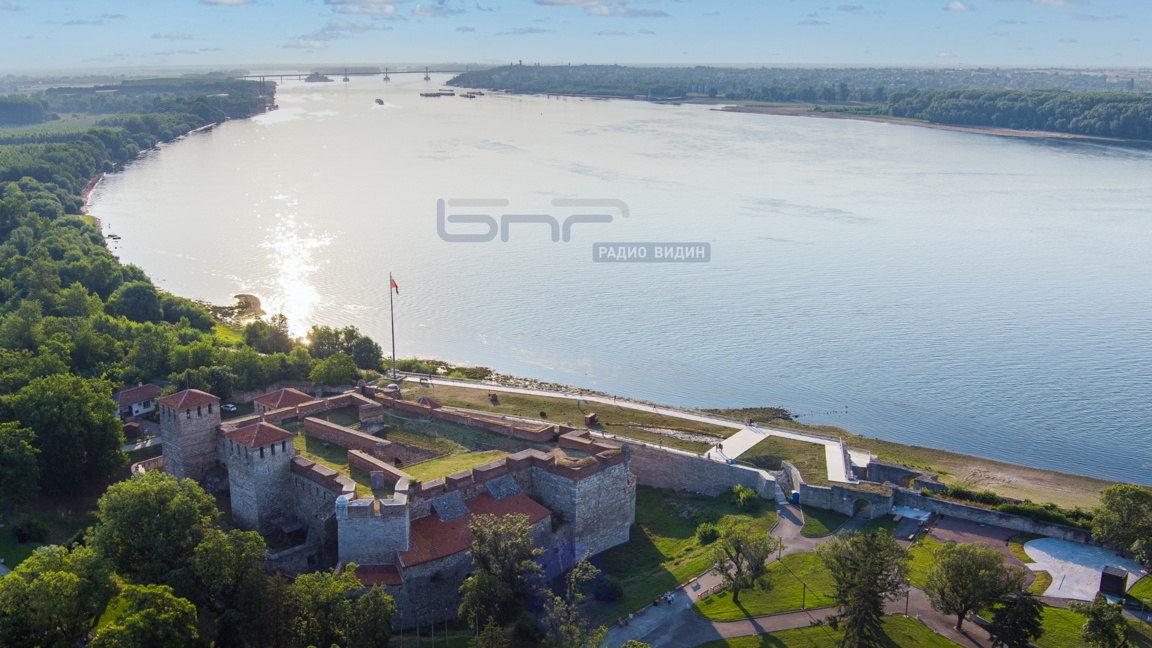 Видин