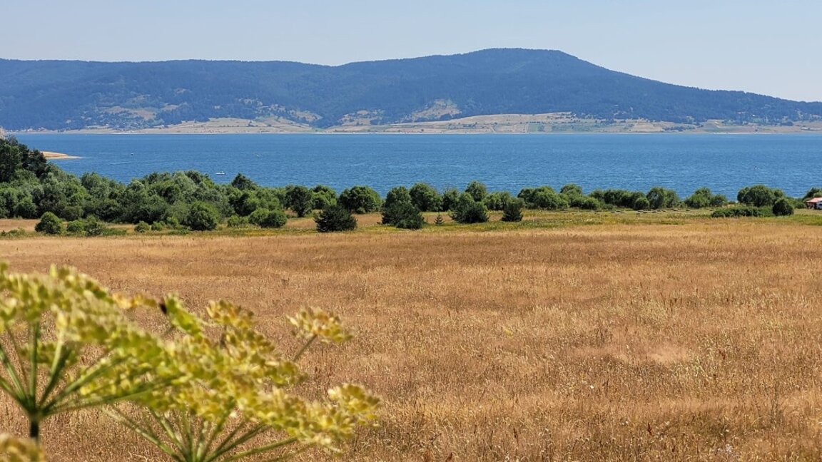 Μπατάκ