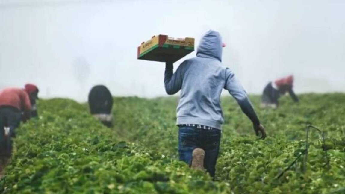 800 000 búlgaros van al extranjero cada año a trabajar como temporeros