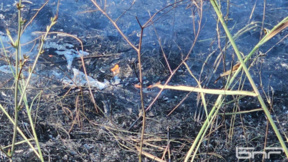 Пожар гори на Регионалното депо за отпадъци в Габрово