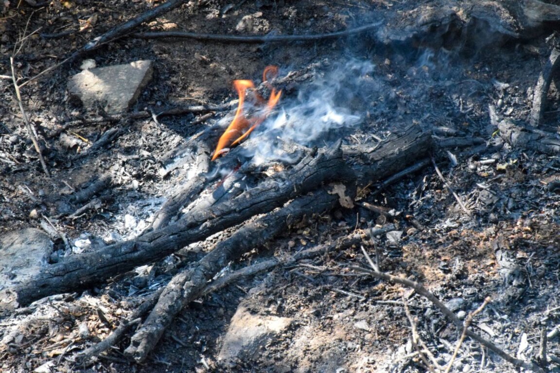 Директорът на НП "Рила": Надявам се утре да сме локализирали пожара