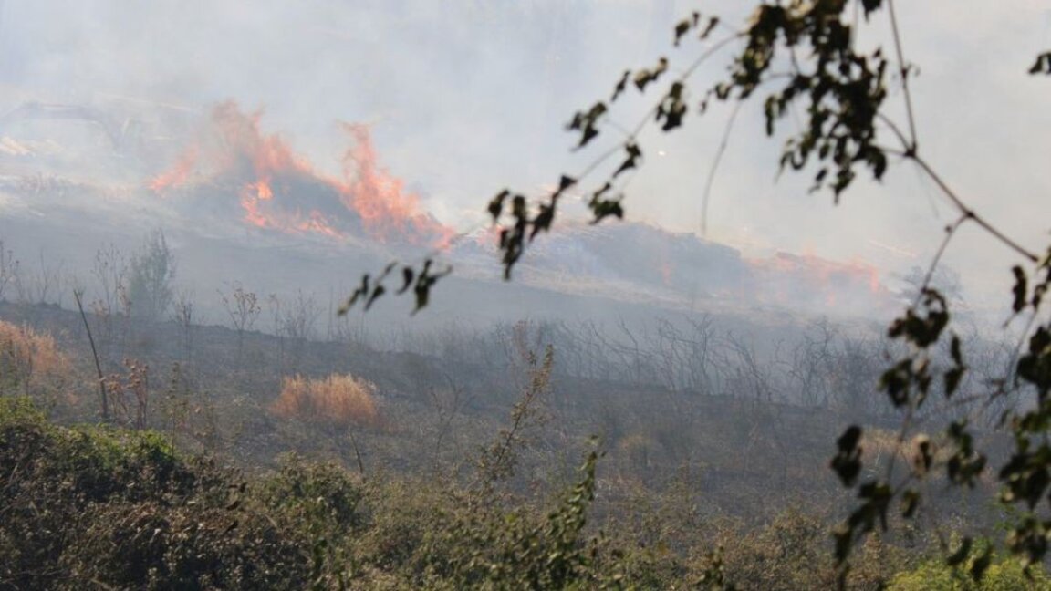 Los incendios de verano: catástrofe, negligencia o delito