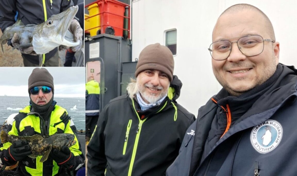 Scientists bring back live fish from Antarctica 