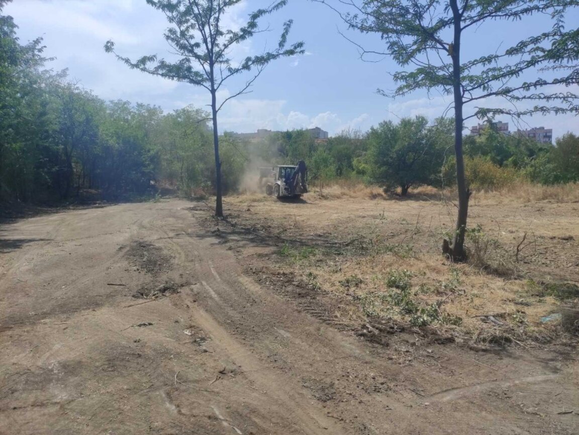 Нов пазар за грозде в Дупница