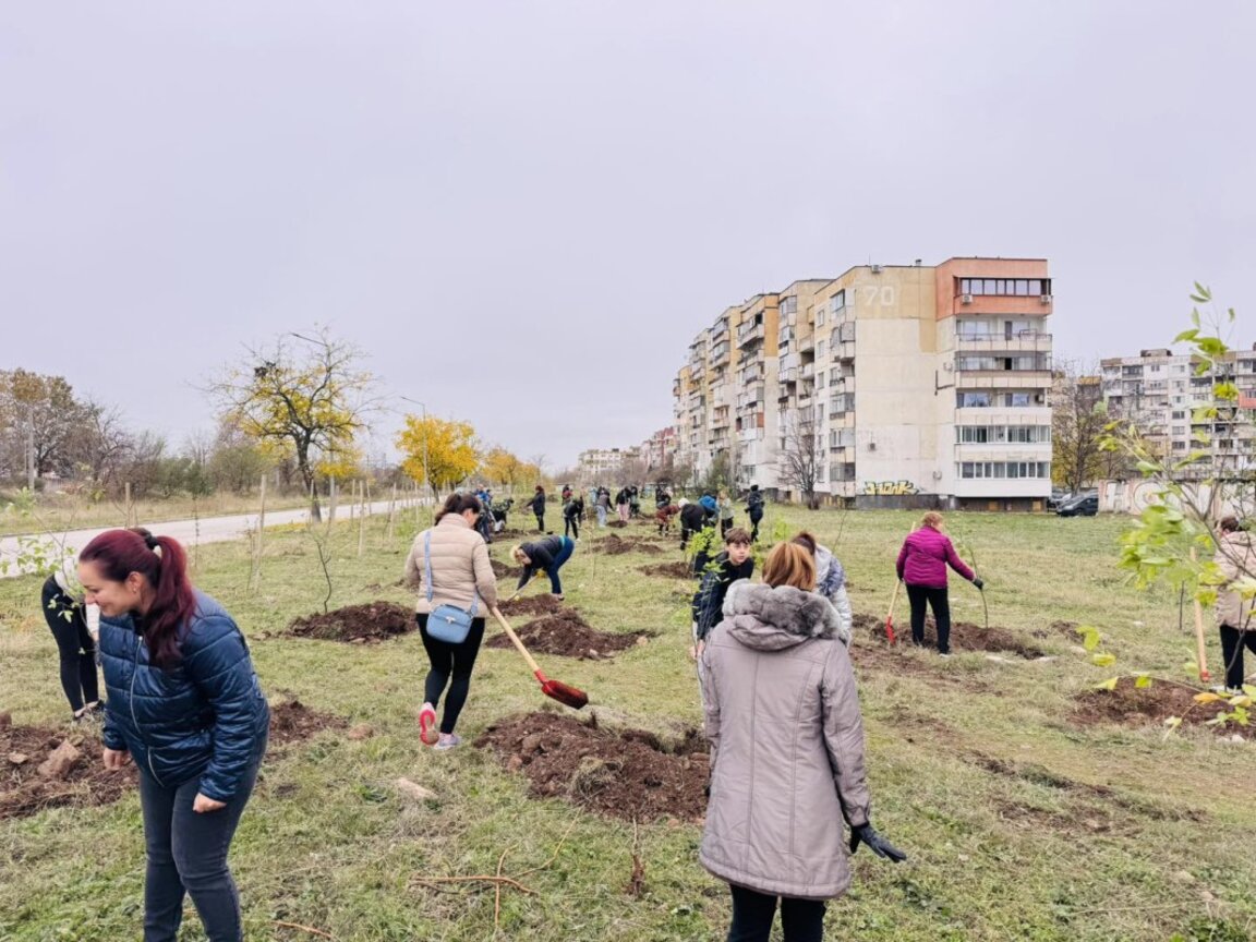 Засадиха 500 дръвчета във врачански квартали