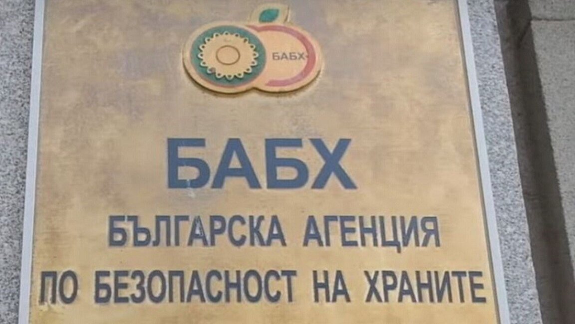 Забрани в 6 общини заради чумата по дребните преживни животни