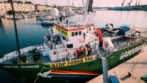 Arctic Sunrise идва в Бургас с резултати от проучване на морските бозайници