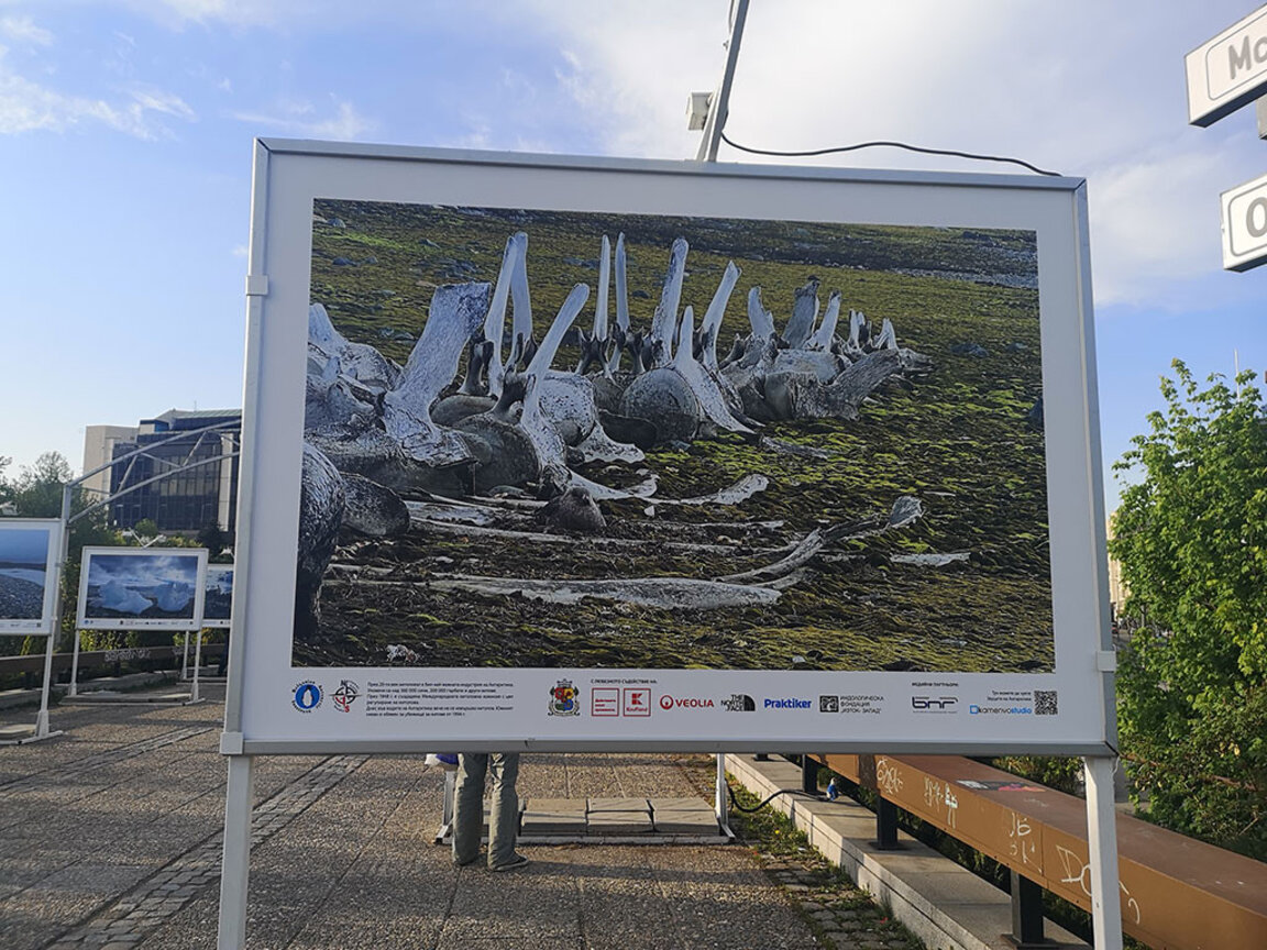 Антарктида – познатата и непозната: 4 епизод – Какво показват ледниците?