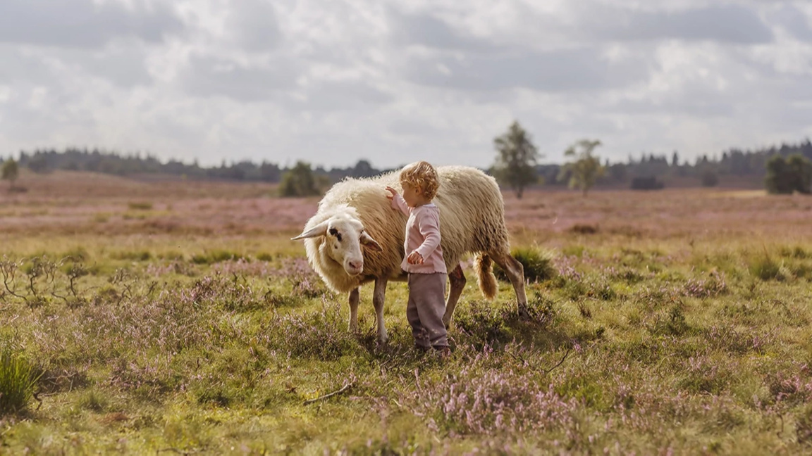 Cuma öğleden sonra