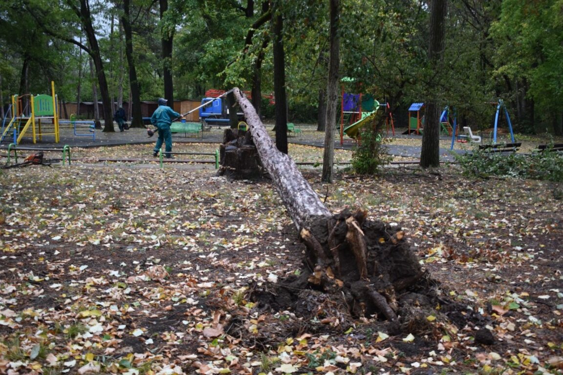 Чистят Разград от паднали дървета и клони