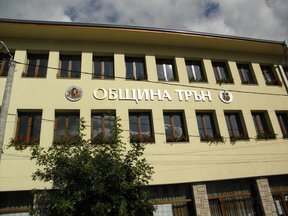 Буря изкорени дървета в Трънско