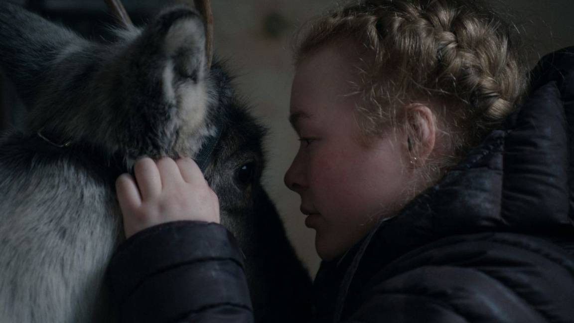 "Brace Your Heart" wins award at Toronto International Film Festival
