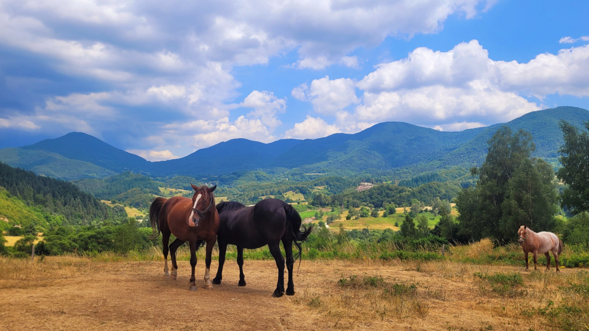 Sunny Tuesday with temperatures reaching up to 20°C