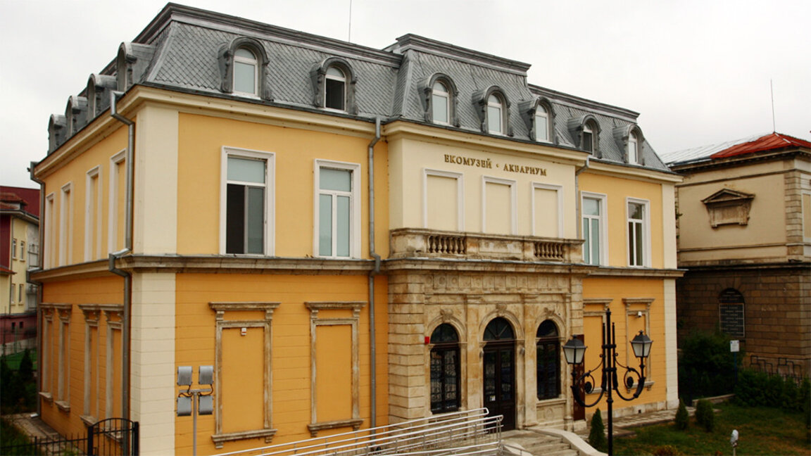 Artiști din București vor vizita Ruse cu lucrările lor