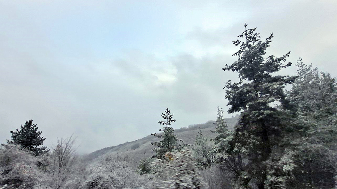 Météo : Gelées matinales et vent glacial du Nord-Ouest…