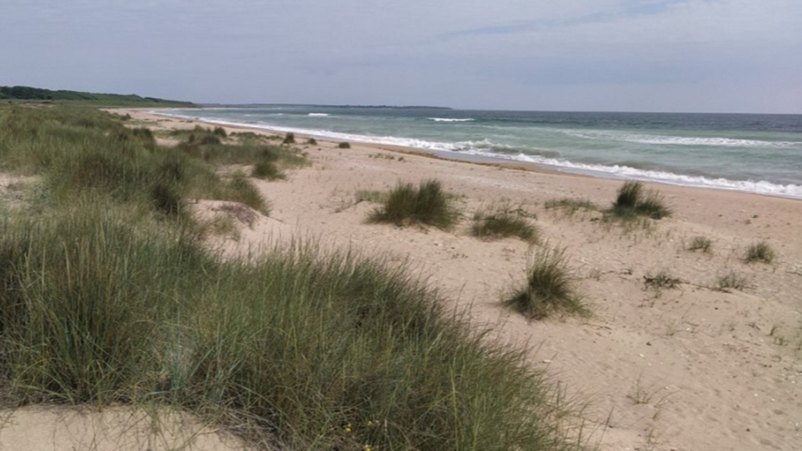 Плаж край Шабла