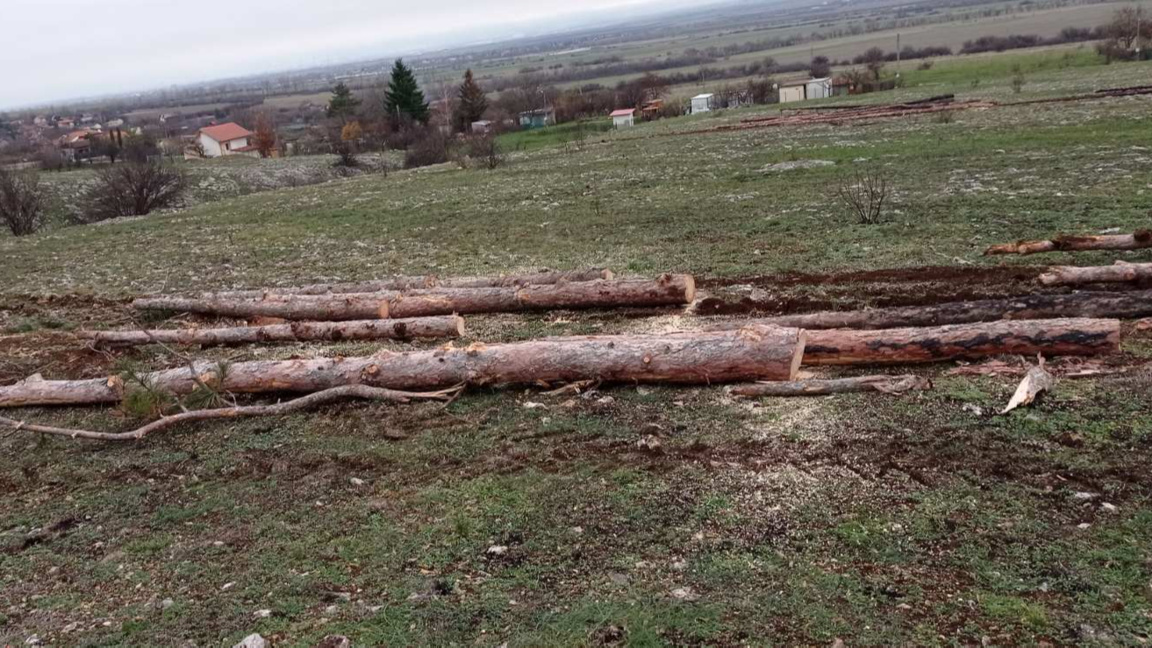 Заради сигнали за опасна сеч: РДГ - София на среща с кмета и жителите на Безден