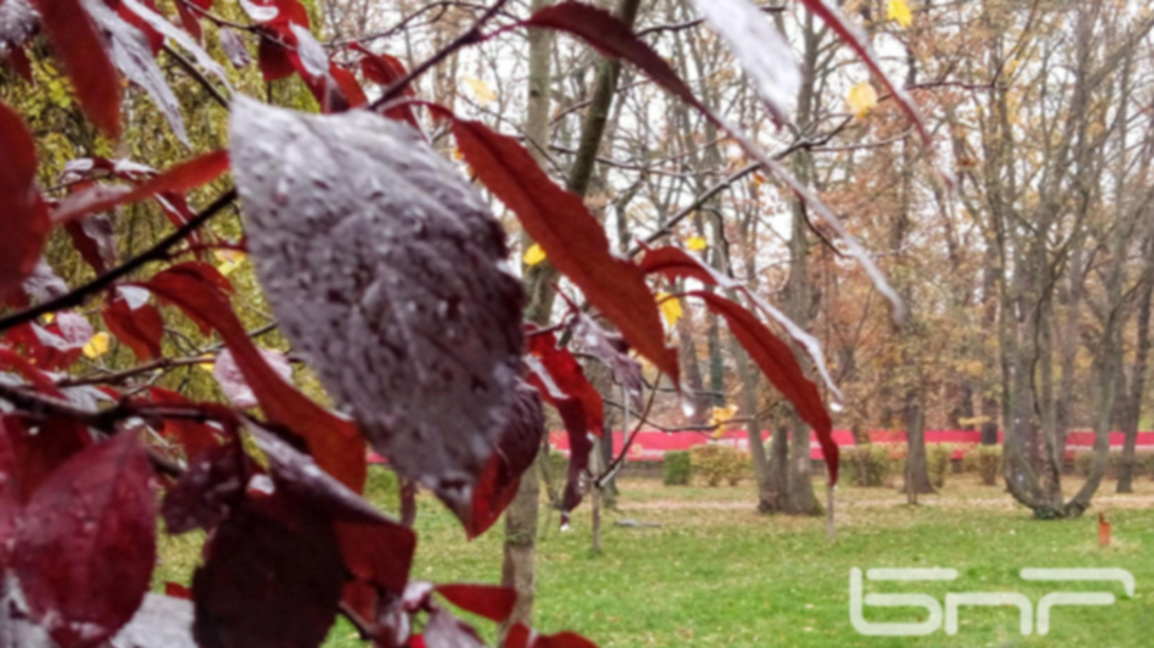 Parashikimi i motit për 10 dhjetorin 2025