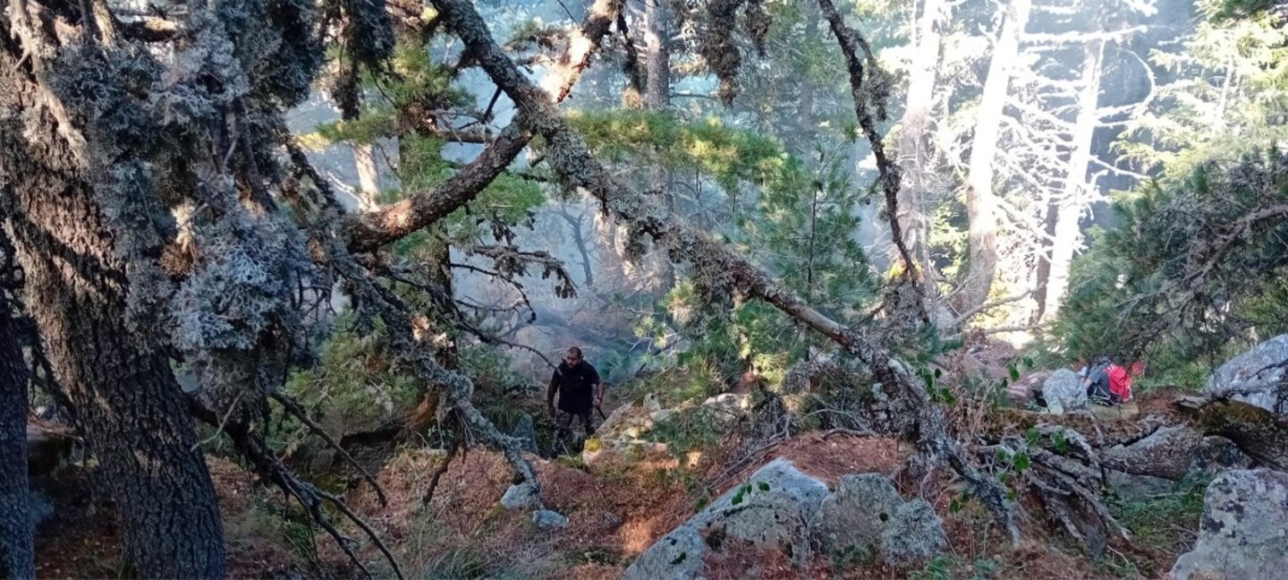 Дупница обяви частично бедствено положение заради пожара в Рила