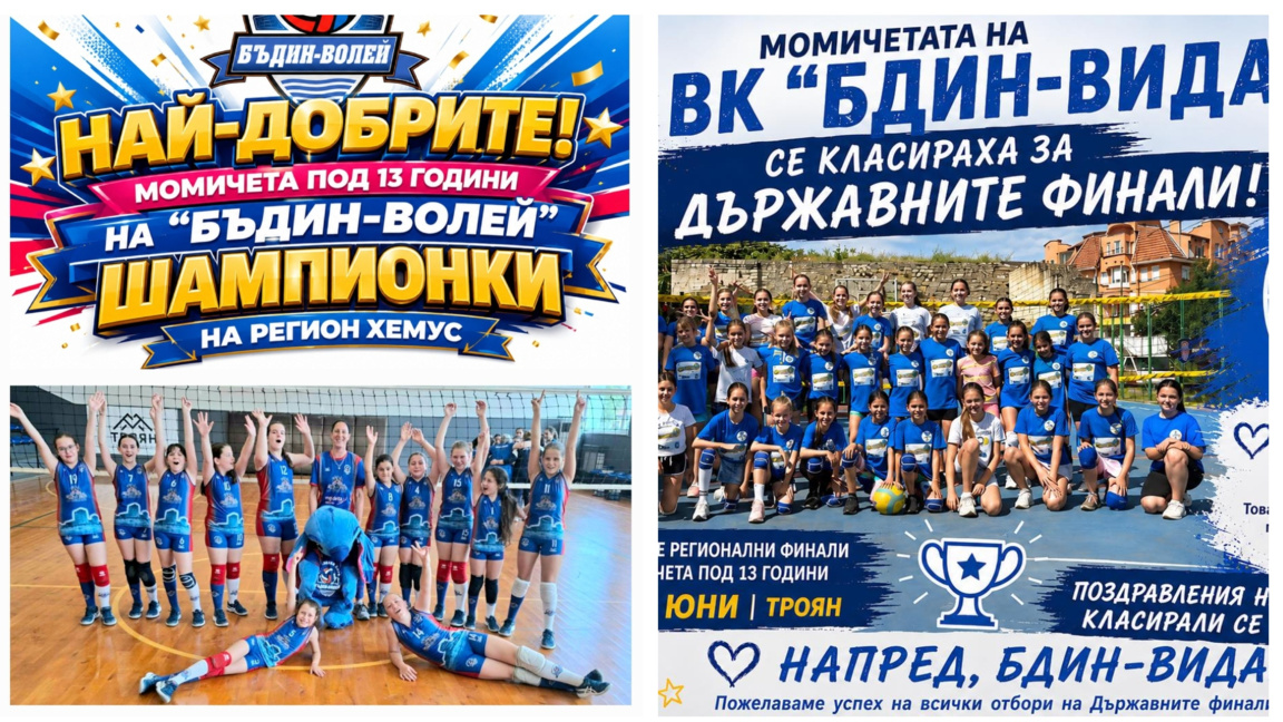 ВК „Бдин-Вида"