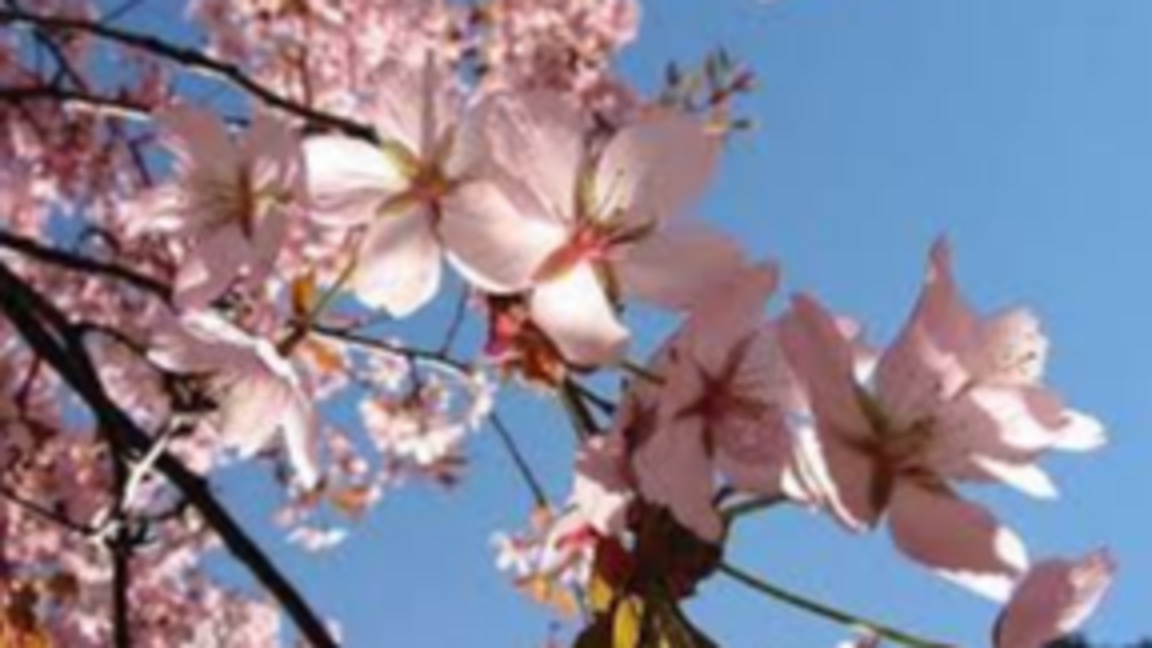 Слънчев Великден