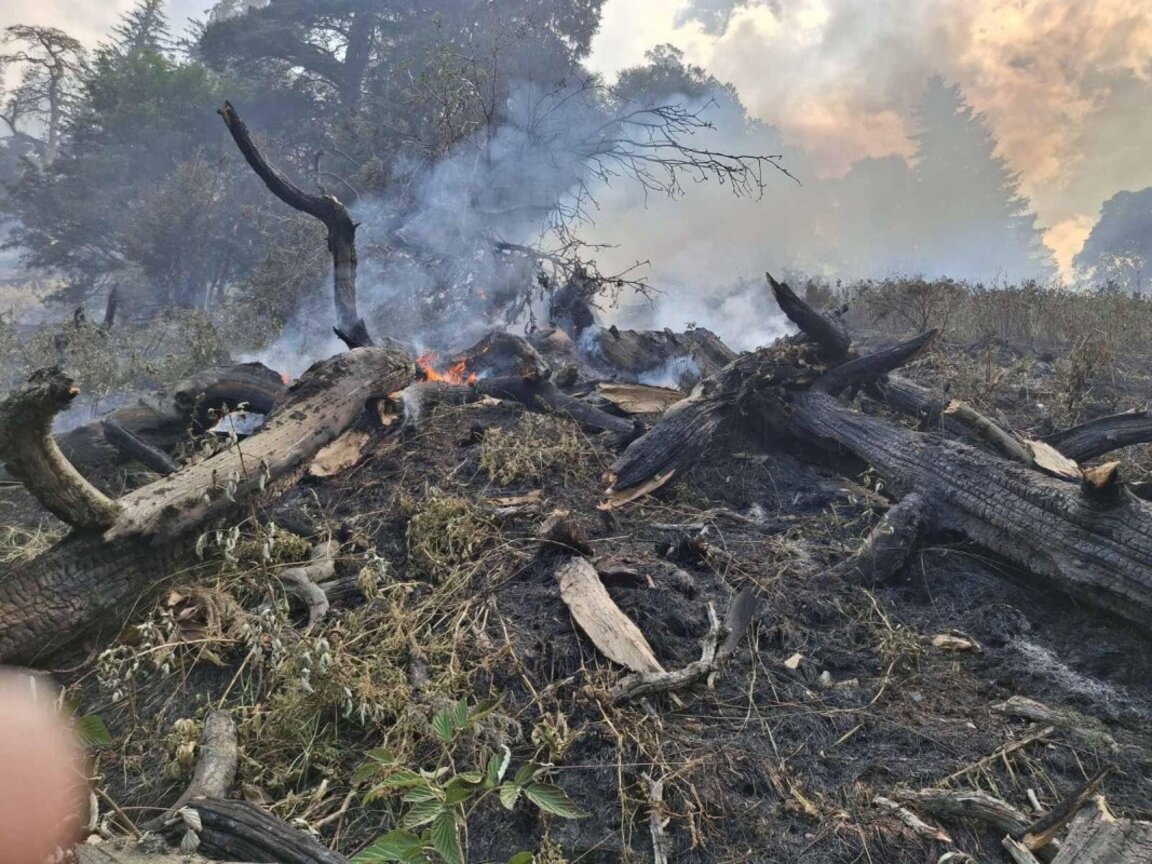 Има все още тлеещи огнища на пожара в Национален парк "Рила" въпреки падналия дъжд